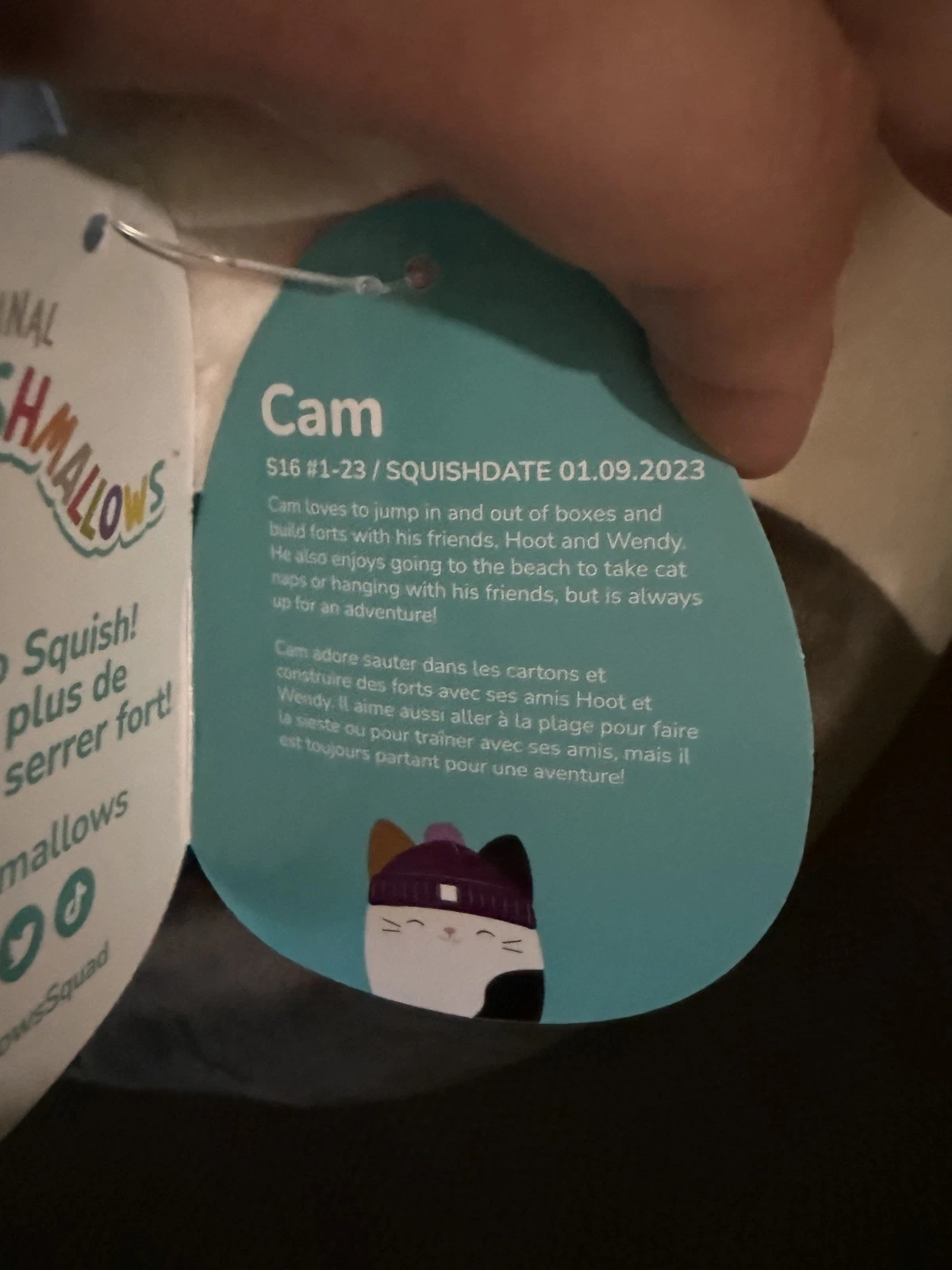 Squishmallows Cam the Cat w/ purple beanie 16 inch Brand New W Tags Squishmallow - Image 2