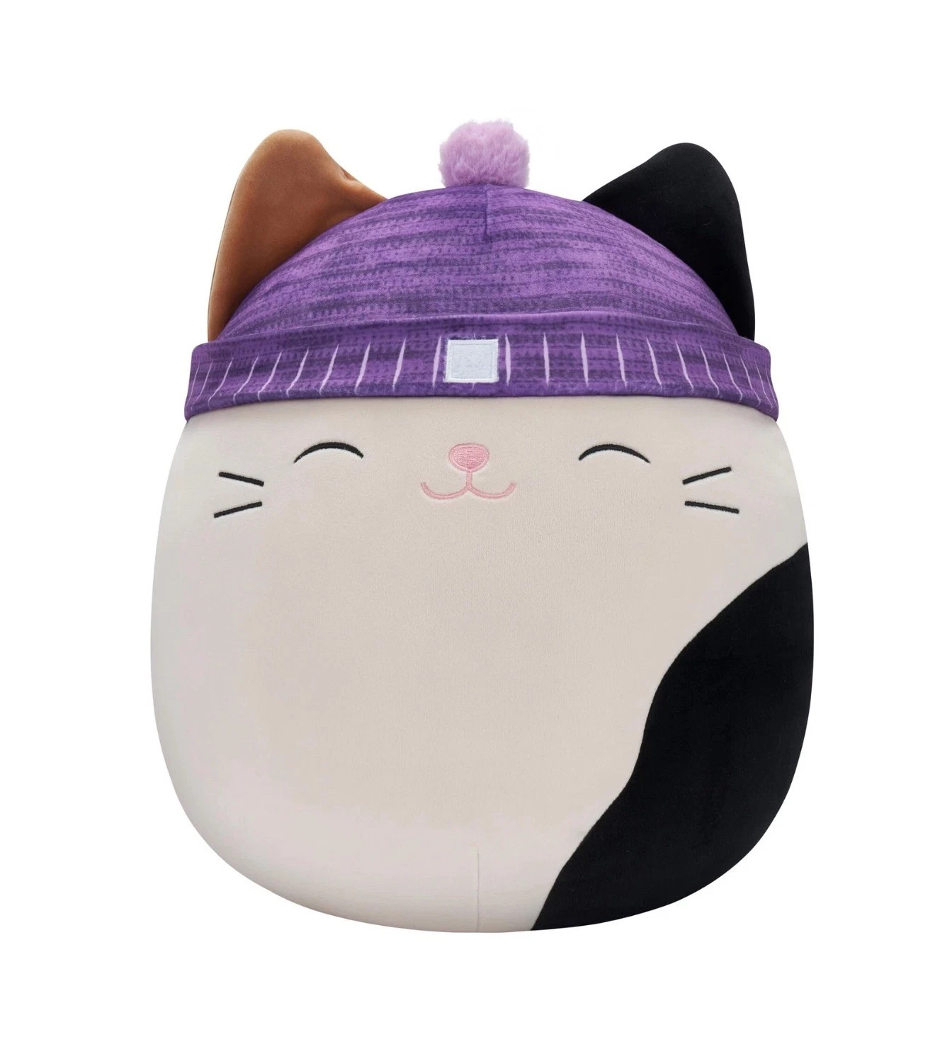 Squishmallows Cam the Cat w/ purple beanie 16 inch Brand New W Tags Squishmallow - Image 3